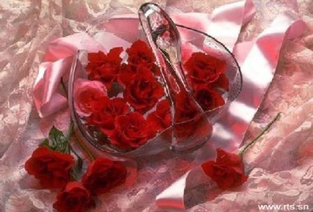 pour vous tous